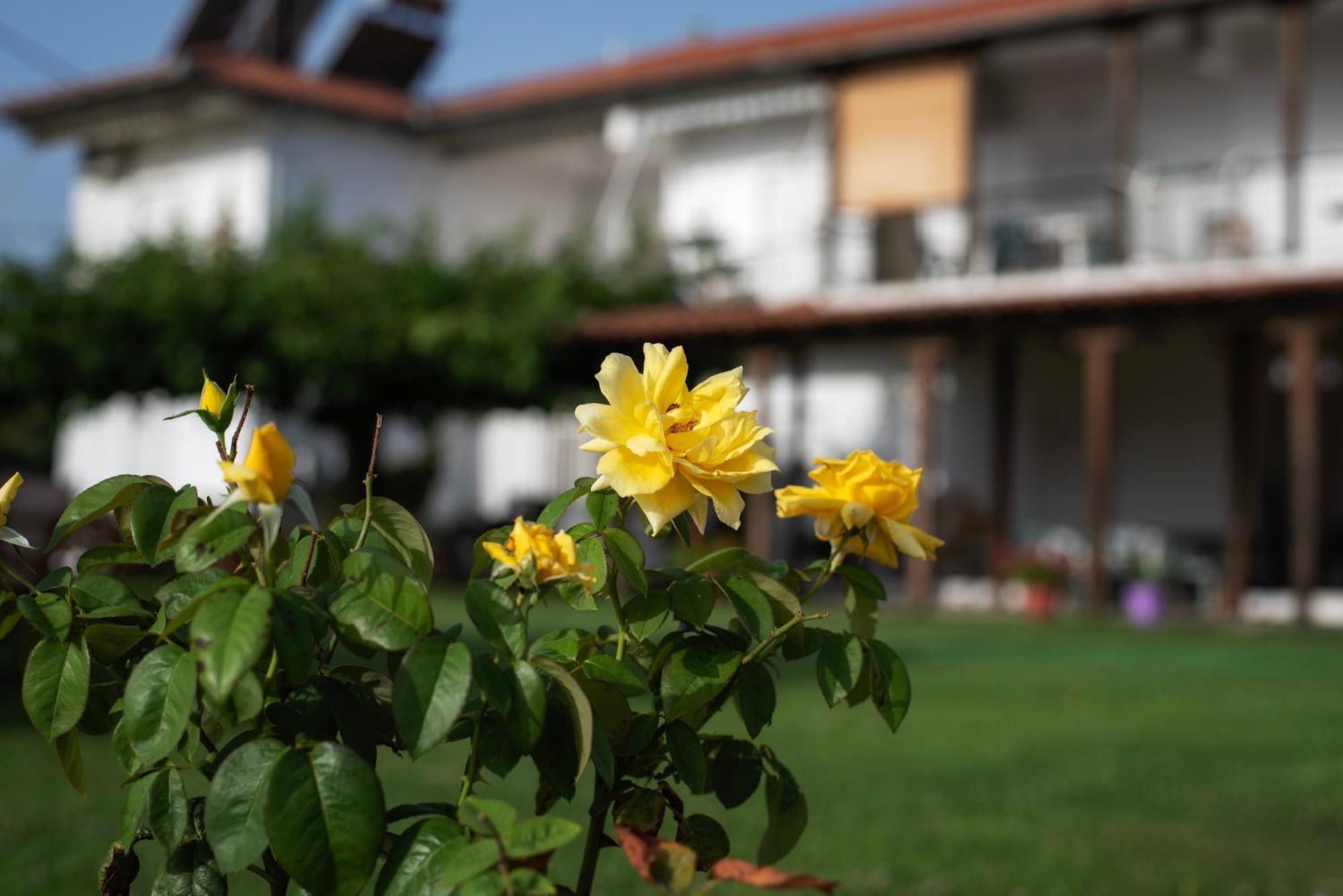 Marilena Apartments Anastasiou Velika  Exterior foto
