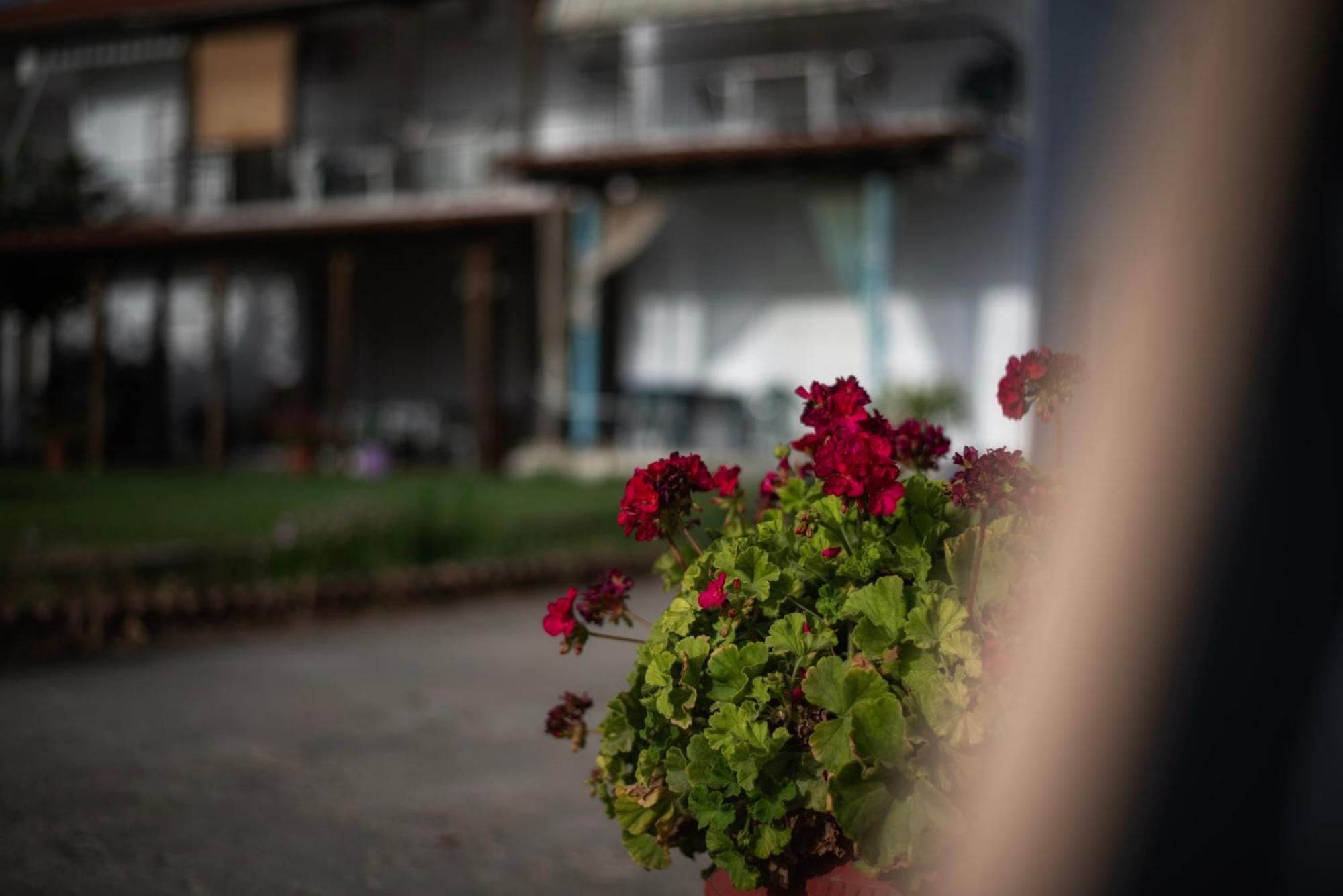 Marilena Apartments Anastasiou Velika  Exterior foto